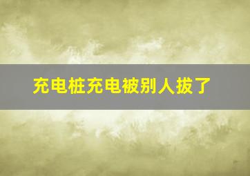 充电桩充电被别人拔了