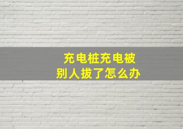 充电桩充电被别人拔了怎么办