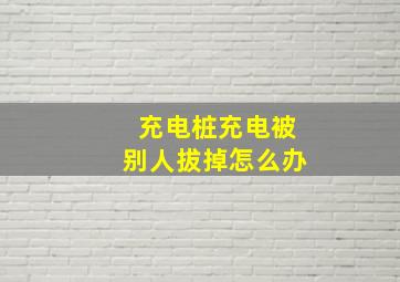 充电桩充电被别人拔掉怎么办