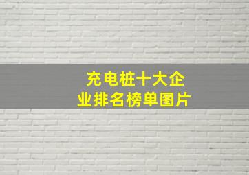 充电桩十大企业排名榜单图片