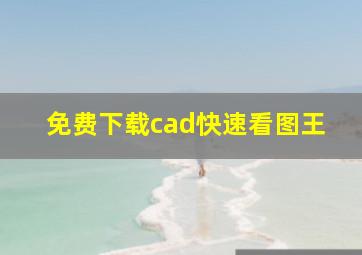 免费下载cad快速看图王