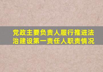 党政主要负责人履行推进法治建设第一责任人职责情况