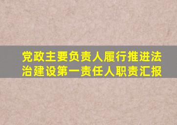 党政主要负责人履行推进法治建设第一责任人职责汇报