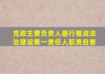 党政主要负责人履行推进法治建设第一责任人职责自查