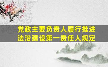 党政主要负责人履行推进法治建设第一责任人规定