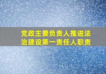 党政主要负责人推进法治建设第一责任人职责