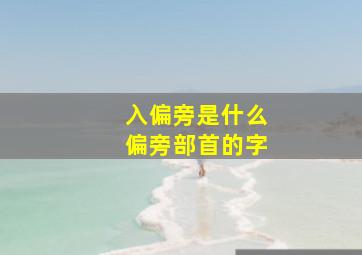 入偏旁是什么偏旁部首的字