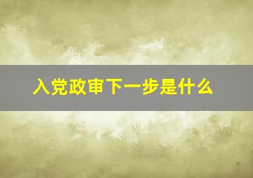 入党政审下一步是什么