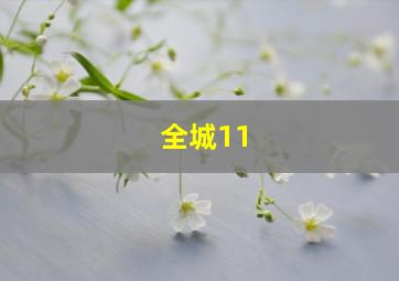 全城11