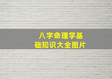 八字命理学基础知识大全图片