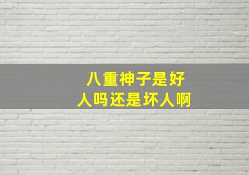 八重神子是好人吗还是坏人啊