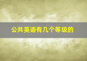 公共英语有几个等级的