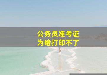 公务员准考证为啥打印不了