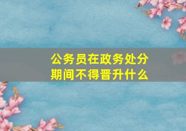 公务员在政务处分期间不得晋升什么