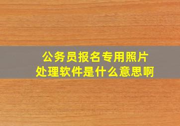 公务员报名专用照片处理软件是什么意思啊