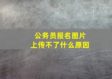 公务员报名图片上传不了什么原因