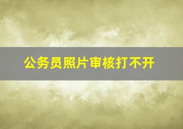 公务员照片审核打不开