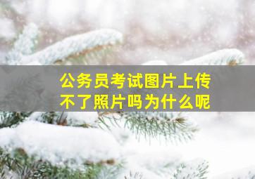 公务员考试图片上传不了照片吗为什么呢