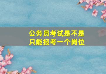 公务员考试是不是只能报考一个岗位