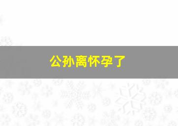 公孙离怀孕了