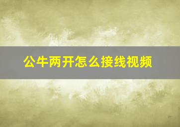 公牛两开怎么接线视频