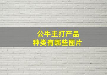 公牛主打产品种类有哪些图片