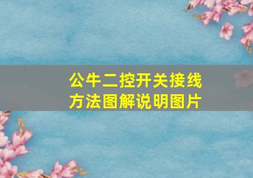 公牛二控开关接线方法图解说明图片