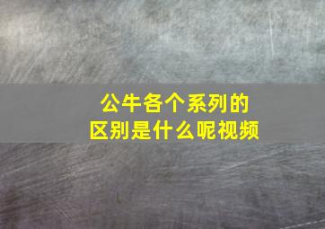 公牛各个系列的区别是什么呢视频