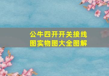 公牛四开开关接线图实物图大全图解