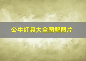 公牛灯具大全图解图片