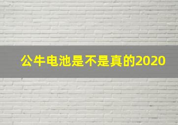 公牛电池是不是真的2020