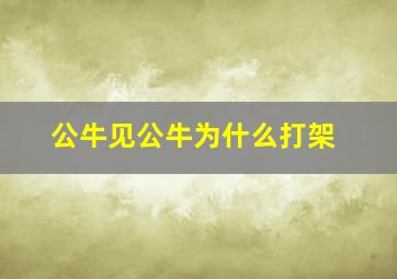 公牛见公牛为什么打架