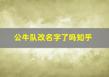 公牛队改名字了吗知乎