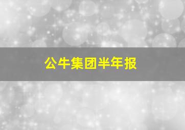 公牛集团半年报