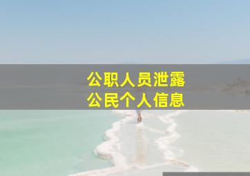 公职人员泄露公民个人信息