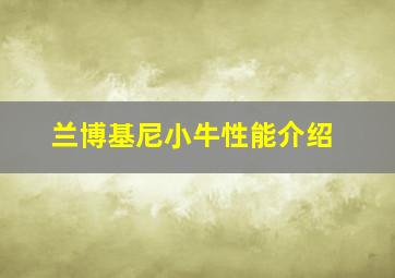 兰博基尼小牛性能介绍