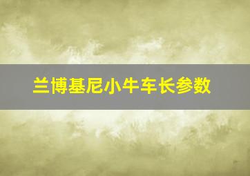 兰博基尼小牛车长参数