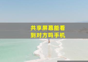 共享屏幕能看到对方吗手机