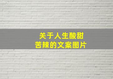 关于人生酸甜苦辣的文案图片