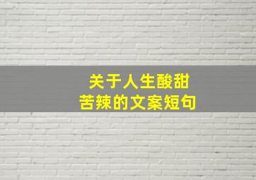 关于人生酸甜苦辣的文案短句