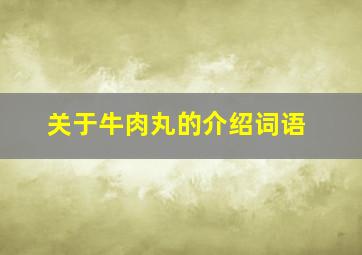 关于牛肉丸的介绍词语