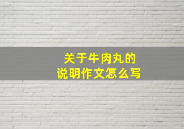 关于牛肉丸的说明作文怎么写