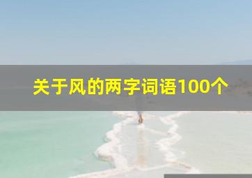 关于风的两字词语100个