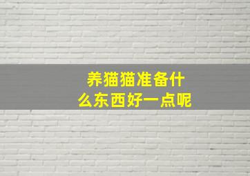 养猫猫准备什么东西好一点呢