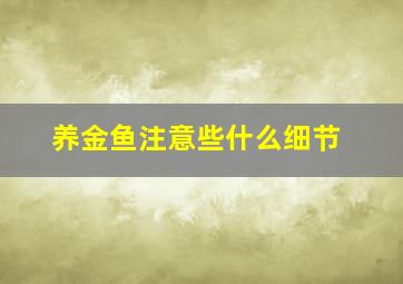 养金鱼注意些什么细节