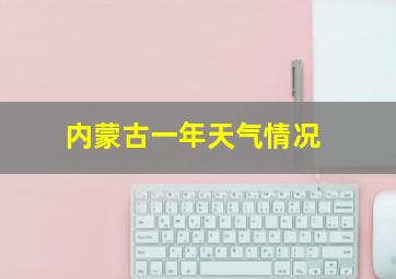 内蒙古一年天气情况