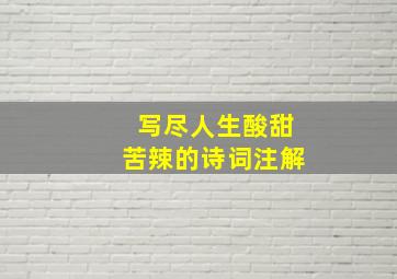 写尽人生酸甜苦辣的诗词注解