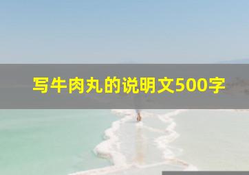 写牛肉丸的说明文500字