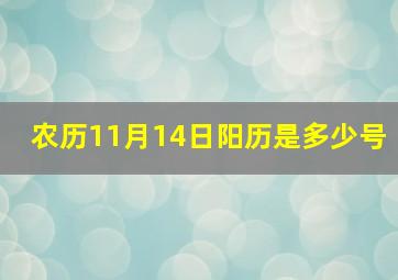 农历11月14日阳历是多少号