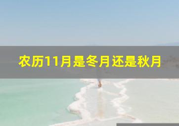 农历11月是冬月还是秋月